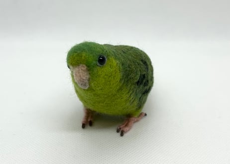お客様専用約1/2サイズとおすわりサザナミインコ