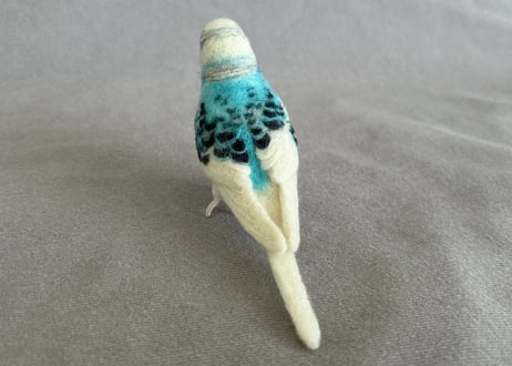 約1/2サイズセキセイインコ✖️2