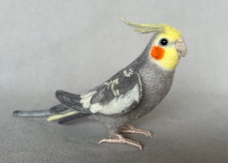 約1/2サイズ中型オカメインコ&コガネメキシコインコ