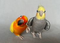 約1/2サイズ中型オカメインコ&コガネメキシコインコ