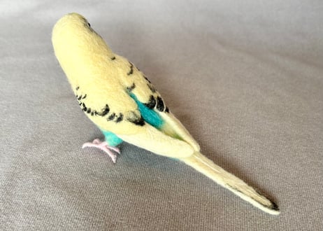 セキセイインコリアルサイズ