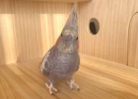 お客様専用約1/2サイズ＆ピーナッツオカメインコ