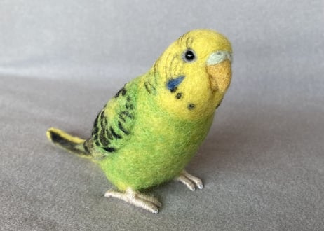 お客様専用約1/2サイズ＆ピーナッツセキセイインコ