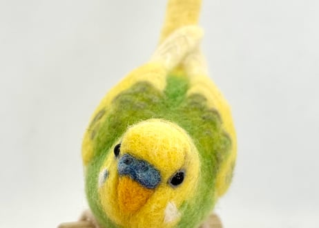お客様専用パーチセキセイインコ
