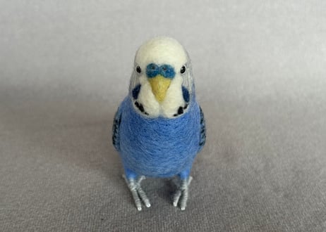 セキセイインコリアルサイズ