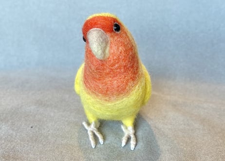 お客様専用約1/2サイズコザクラインコ×2