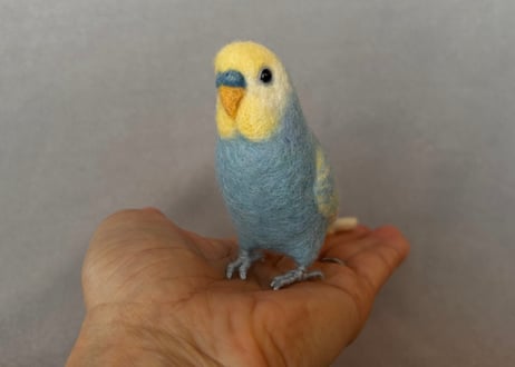 約1/2サイズセキセイインコ