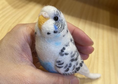 お客様専用約1/2サイズ&ピーナッツセキセイインコ