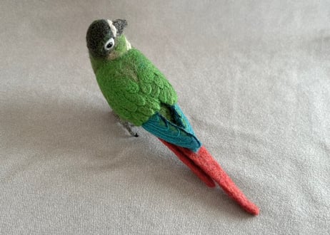 約1/2サイズウロコインコ＋ピーナッツ