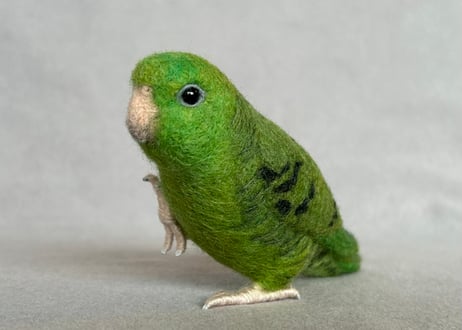 約1/2サイズサザナミインコ