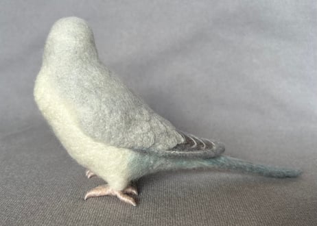 約1/2サイズオキナインコ