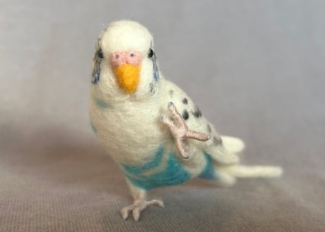セキセイインコ約1/2サイズ＋おすわり