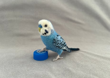 約1/2サイズセキセイ&オカメインコ
