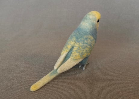 約1/2サイズセキセイインコ