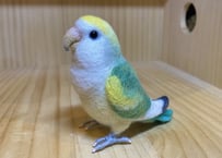 お客様専用約1/2サイズコザクラインコ