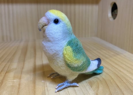 お客様専用約1/2サイズコザクラインコ