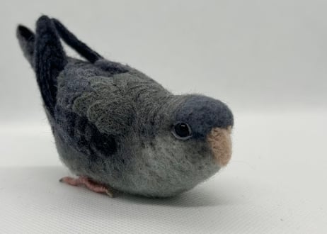 お客様専用約1/2サイズサザナミインコ