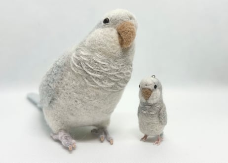 お客様専用 約1/2サイズ&ピーナッツオキナインコ