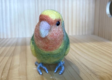 お客様専用約1/2サイズコザクラインコ×3