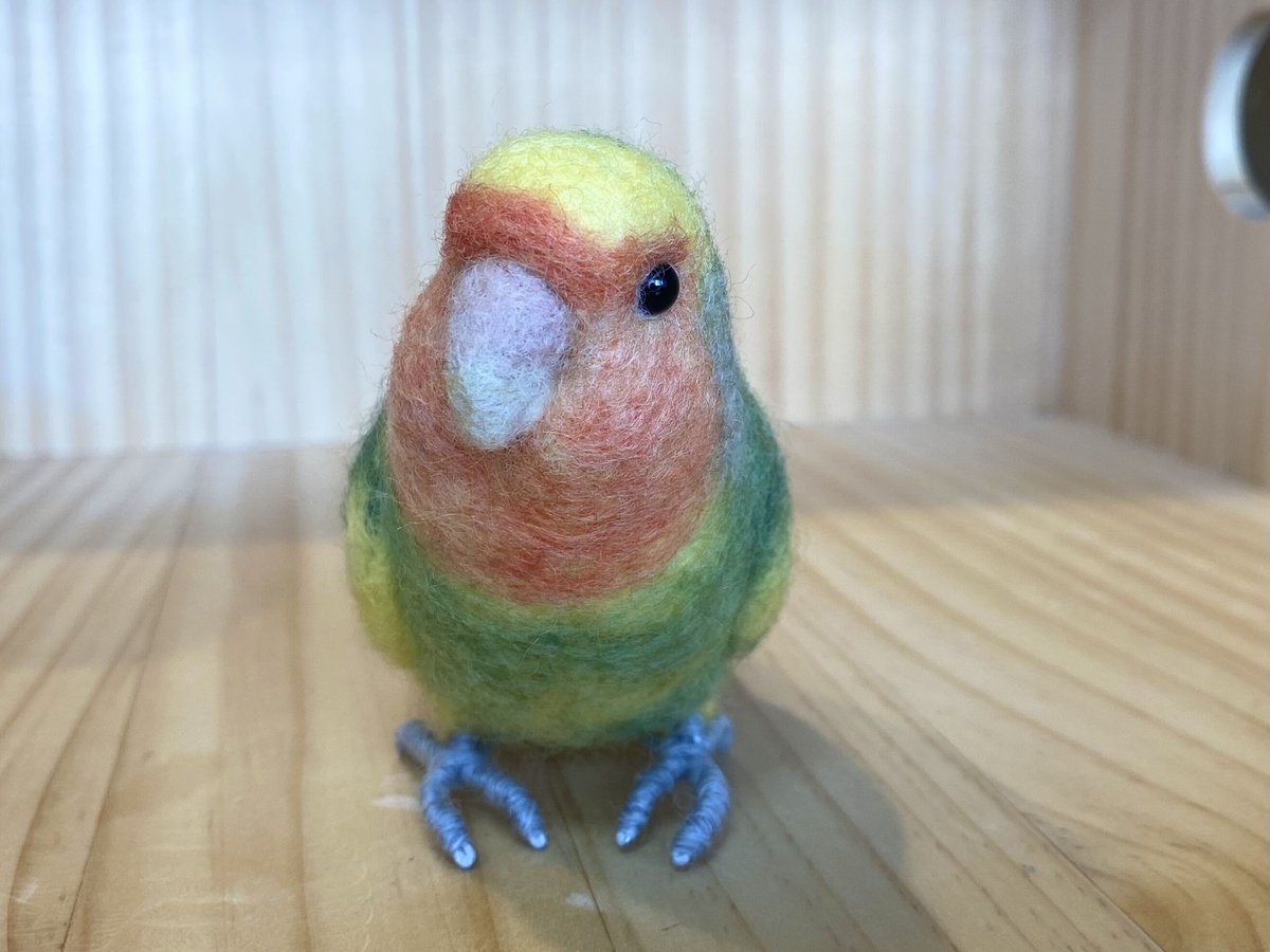 お客様専用約1/2サイズコザクラインコ×3 | TinyBooBoo