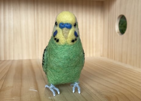 お客様専用約1／2サイズセキセイインコ