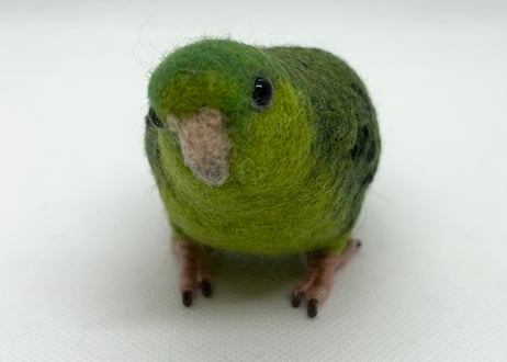 お客様専用約1/2サイズとおすわりサザナミインコ