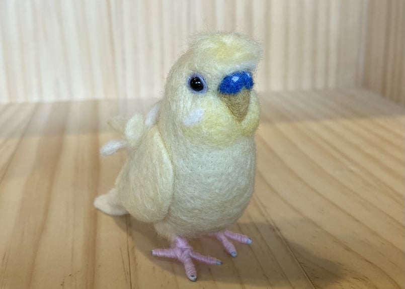 お客様専用サイズ規格外セキセイインコインコ＋ピーナッツ