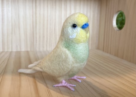 お客様専用約1／2サイズセキセイインコ