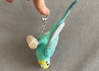 パーチ&おすわりセキセイインコ