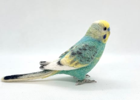 お客様専用約1/2サイズセキセイインコ