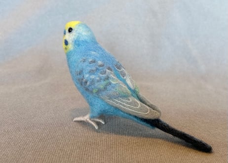 約1/2サイズセキセイインコ