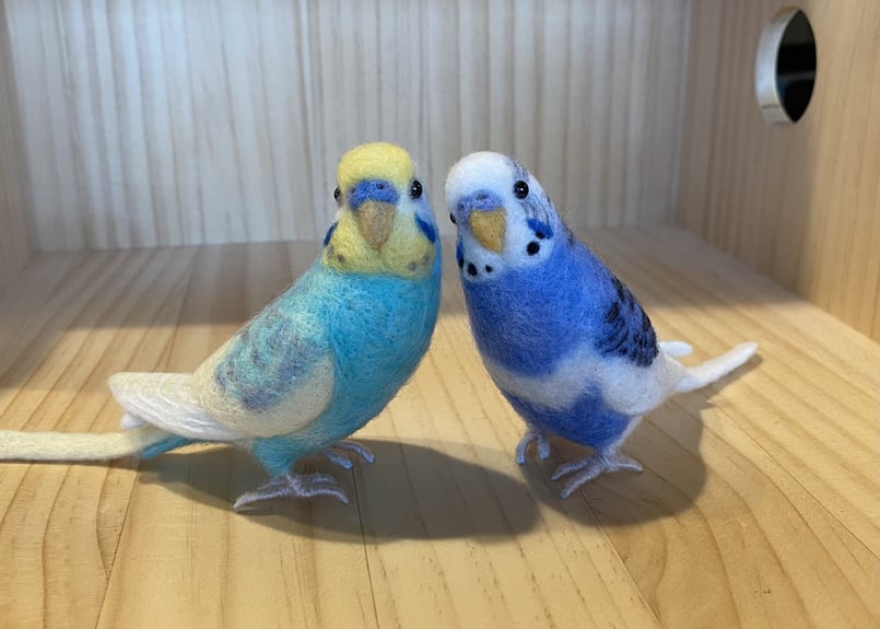 愛用していたインコです Subtitles] So touched! Budgie lends his precious ball to