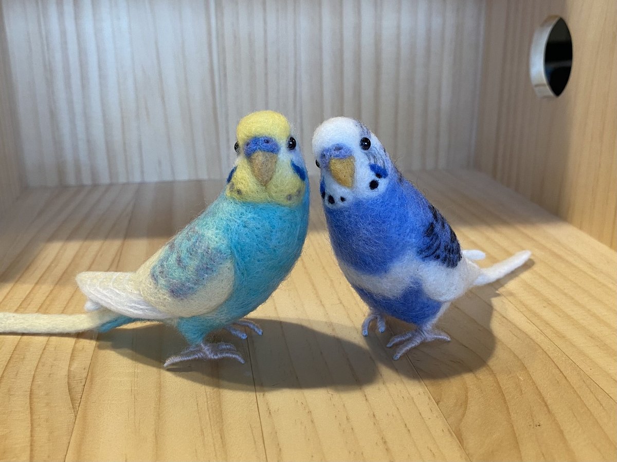お客様専用約1/2サイズセキセイインコ2体 | TinyBooBoo お客様専用約1/2サイズセキセイインコ2体 | TinyBooBoo