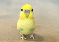 セキセイインコガラスドームタイプ