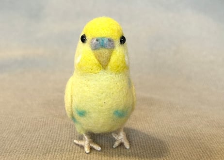 セキセイインコガラスドームタイプ