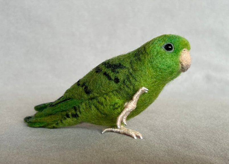 約1/2サイズサザナミインコ | TinyBooBoo 約1/2サイズサザナミインコ | TinyBooBoo