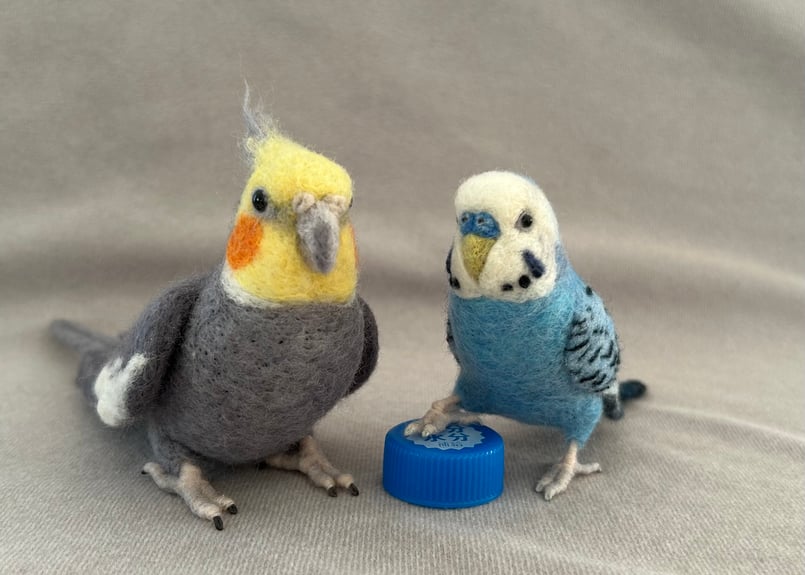 約1/2サイズセキセイ&オカメインコ | TinyBooBoo