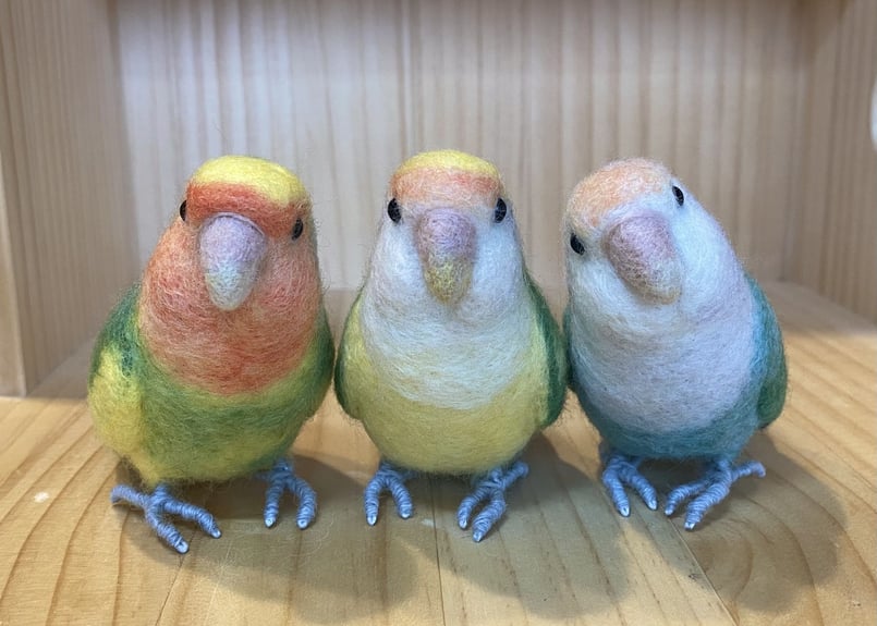 お客様専用約1/2サイズコザクラインコ×3 | TinyBooBoo お客様専用約1/2サイズコザクラインコ×3 | TinyBooBoo