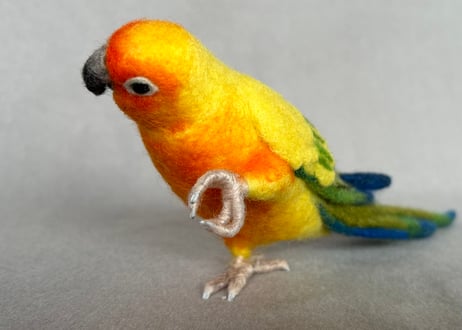 約1/2サイズ中型オカメインコ&コガネメキシコインコ