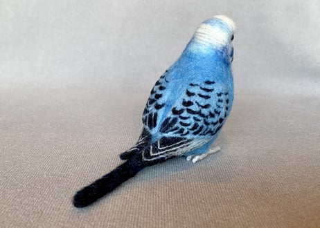 お客様専用約1／2サイズセキセイインコ