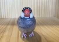 お客様専用約1/2サイズ桜文鳥