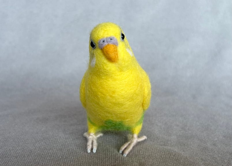 リアルサイズセキセイインコ | TinyBooBoo