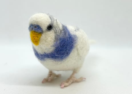 約1/2サイズセキセイインコ