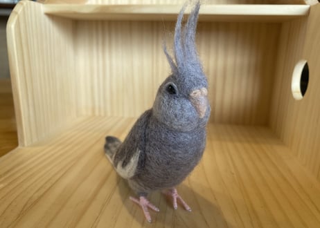 お客様専用約1/2サイズ&ガラスドームオカメインコ