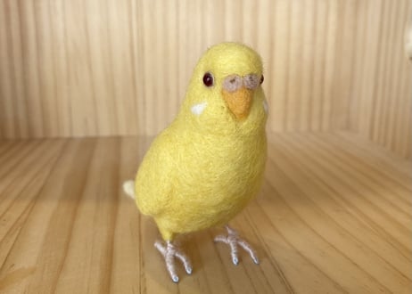 お客様専用約1／2サイズセキセイインコルチノー