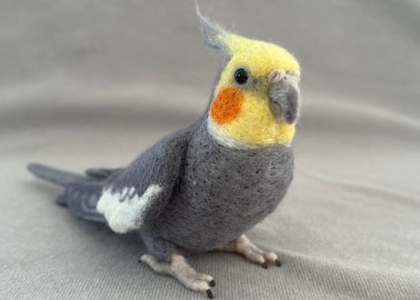 約1/2サイズセキセイ&オカメインコ