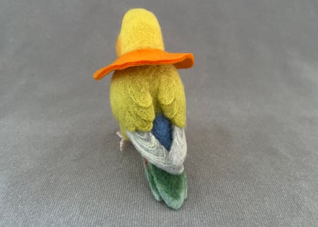 お客様専用 約1/2サイズコザクラインコ