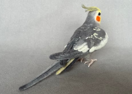 約1/2サイズ中型オカメインコ&コガネメキシコインコ