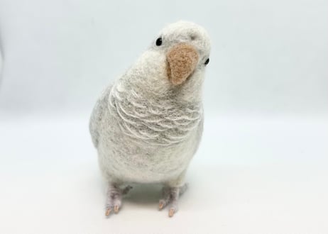 お客様専用 約1/2サイズ&ピーナッツオキナインコ