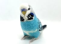 お客様専用約1/2サイズジャンボセキセイインコ
